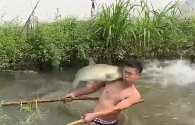 大陸有男子在池塘撈魚時，卻遭到魚群「狠狠打臉」。（圖／翻攝自微博）