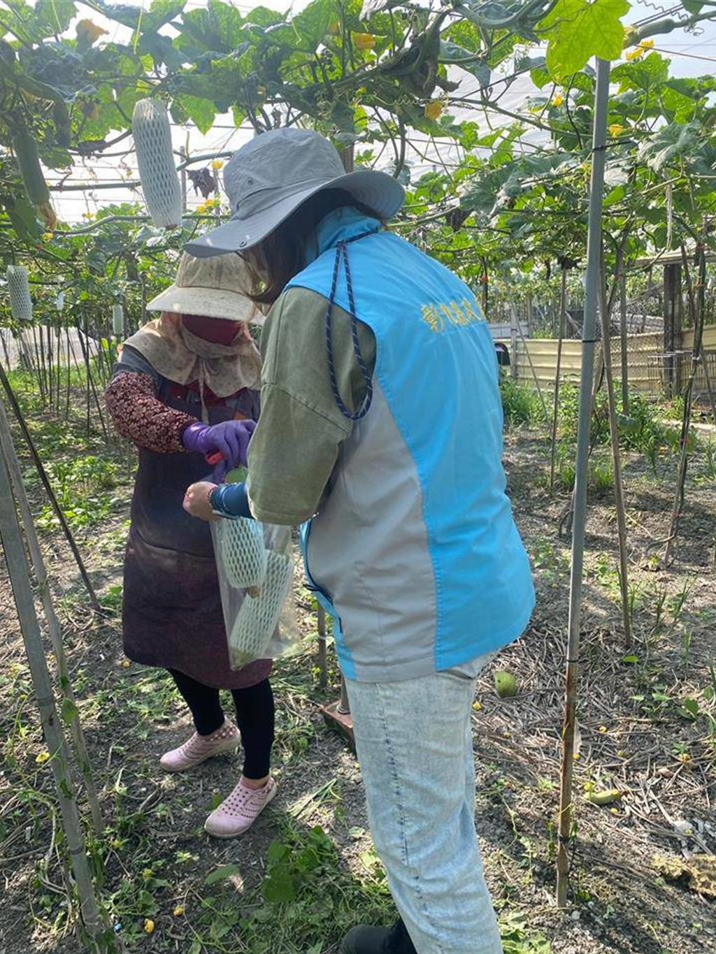 為食安把關 彰化抽驗百件蔬果 農藥殘留無超標