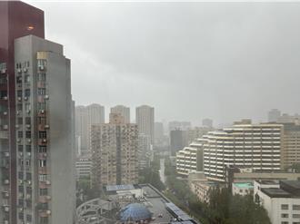 颱風貝碧佳登陸上海浦東  1949年以來最強颱襲滬！