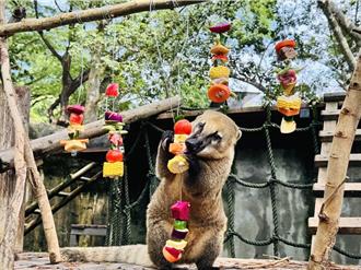 壽山動物園過中秋！「野營烤肉趴」應景食材超澎湃