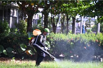 花蓮國福國小小黑蚊肆虐 師生飽受叮咬之苦 市公所追加噴藥