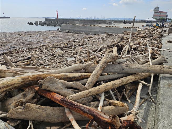 鹽埔漁港堤防上的漂流木，經屏東縣政府認定不具標售價值者，民眾可自由撿拾。（羅琦文攝）