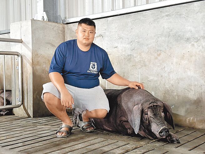 黄靖文曾是柔道选手，因父亲罹癌接手家中养猪事业，现为新北市养猪协会理事长。（陈慰慈摄）
