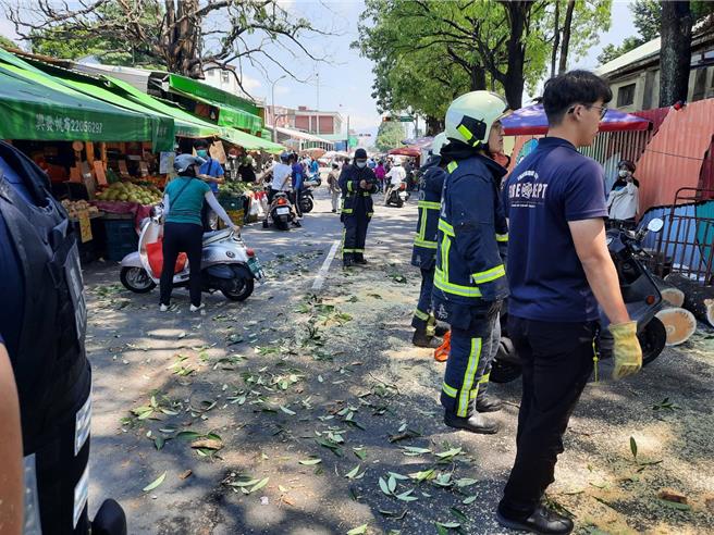 台中市東區新民街市場17日近午傳出6米高路樹突然倒塌，砸傷1名路人及2台機車意外。（民眾提供／馮惠宜台中傳真）