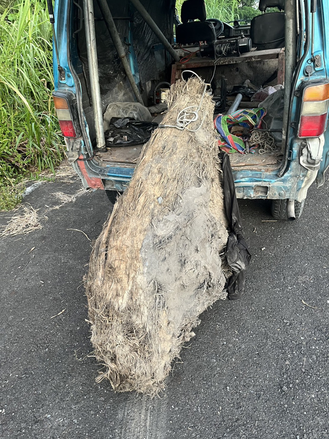 宜兰县三星乡40多岁林姓男子15日晚上，意图将藏在安农溪草丛的扁柏偷偷运出变卖。（警方提供／吴佩蓉宜兰传真）