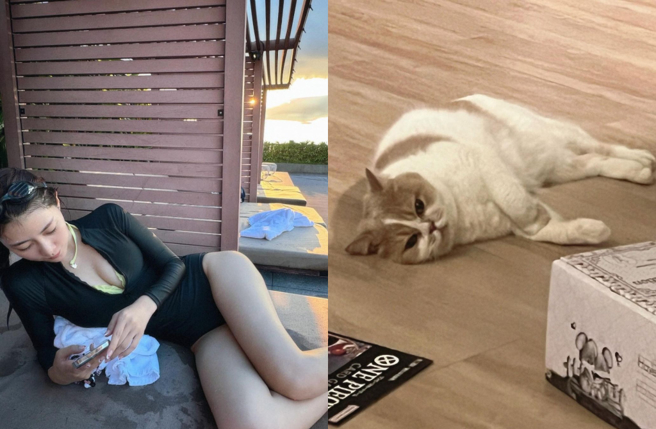 阿部玛利亚还晒出自家爱猫的照片来自嘲。（图／IG@_abedesu）