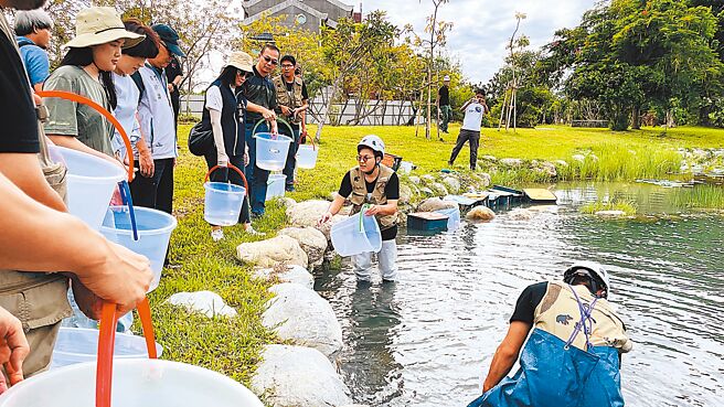 台東縣政府16日辦理復育原生種活動，於台東森林公園蓮花生態池放流菊池氏細鯽等原生魚類約550隻及螺蚌物種約250顆。（蕭嘉蕙攝）