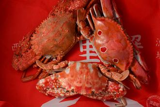 【秋蟹香】万里蟹产季开跑 名厨设计三道佳肴这里吃 自煮方法报您知！