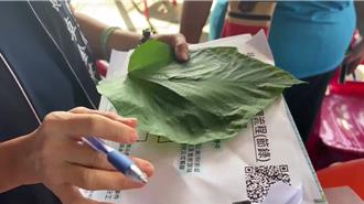 台東12人吃「蝸牛小米粽」中毒釀3死 衛生局急採檢送驗