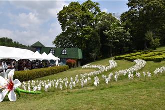 苗栗山海e起遊 「好玩卡」專屬線上旅展掀搶購熱潮