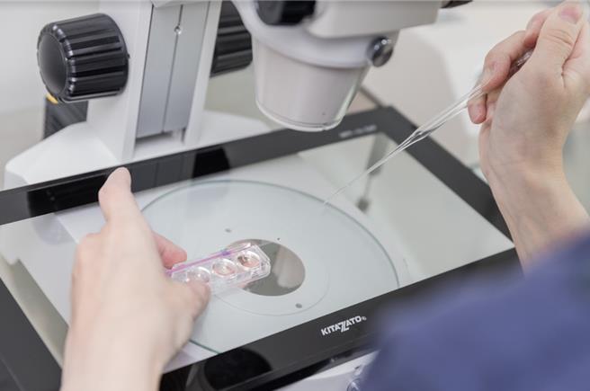 桃园冻卵营养金补助将从10月1日起，由原本的1万元加码到2万元，冻卵计画最高3.3万元全国最优，降低女性冻卵的负担。(妇幼局提供／蔡依珍桃园传真)