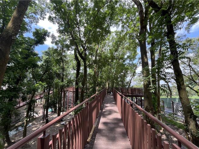 南投縣長許淑華鼓勵九九峰氦氣球樂園施工團隊做好生態保育，帶動「低碳旅遊」風潮。（南投縣政府提供／楊靜茹南投傳真）