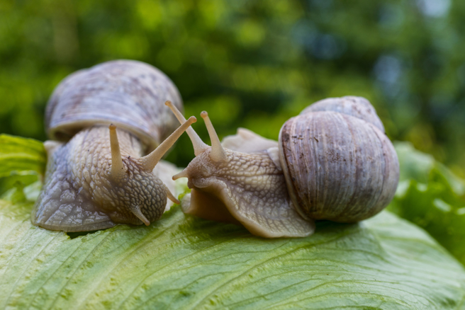 台東金峰鄉南迴線賓茂及壢坵部落今（18）日爆出集體食物中毒的慘事，目前已有3人死亡。（示意圖：shutterstock／達志）
