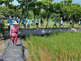 金山區深化食農教育 校長：體驗從田間到餐桌的生命教育
