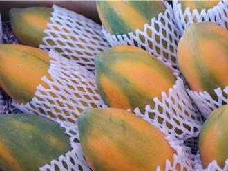 10年前停銷大陸愈挫愈勇 林內木瓜「紅透台灣」一支獨秀