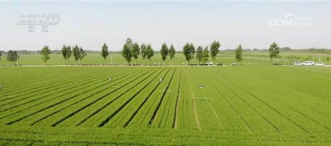 大陸全方位保護耕地三連增  達1758萬畝取得實效。（大陸央視）