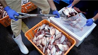 限制措施一年後  日媒：中國將表明恢復從日本進口水產品