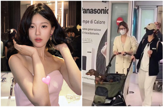 趙露思攜寵物赴米蘭「坐逾10小時飛機」 愛狗人士怒轟：自私