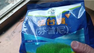 蝸牛粽阿嬤廚房發現「芬普尼」 農民曝用途：不易溶於水