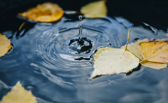 24節氣中的「秋分」即將到來，小孟老師分享禁忌及白開水開運法，並提醒4生肖需避災。（示意圖：Shutterstock／達志）