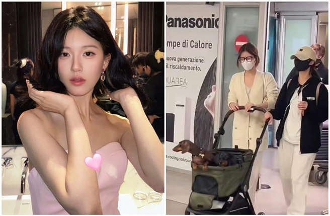 趙露思帶兩隻愛犬搭機前往米蘭，慘遭愛狗人士砲轟。（圖／微博）