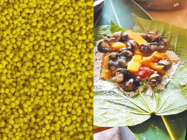 台東蝸牛小米粽中毒案，造成12人送醫、3人死亡。（右圖／讀者提供、左圖／蔡旻妤攝）