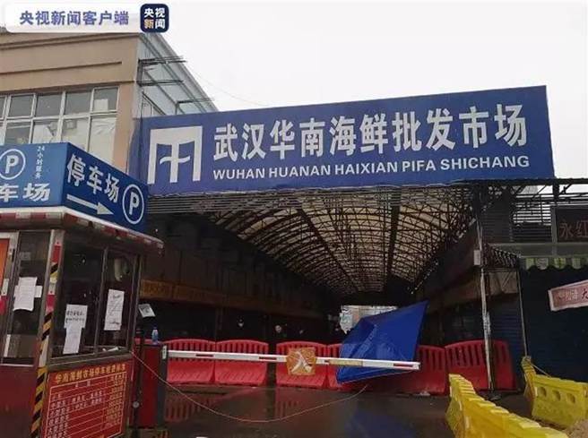 從武漢華南海鮮批發市場上西南角上出現屬於浣熊犬和果子狸等物種的野生動物基因，而這一區域恰好也是檢測到大量新冠病毒的區域。（圖／央視0