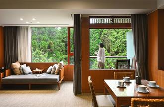 日限8間！阿里山百年賓館推饗宴「漫步雲端觀日 覽五奇美景」