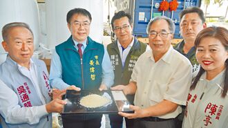 「臺南11號」銷日本 2400公噸封櫃