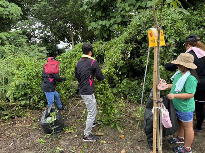 四番地社区发展协会8年前认养二崙乡生态步道的维护工作。今（21日）再发动近百人自发性割除蔓泽兰。（周丽兰摄）