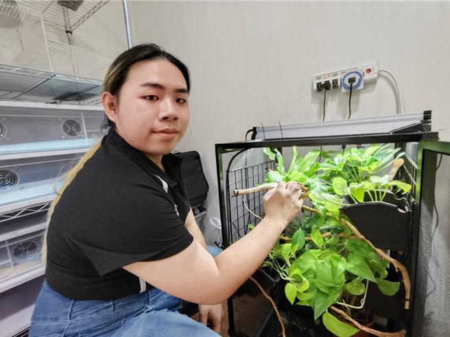 林建廷饲养爬虫类动物，为牠们建置适合的生态环境，展现尊重生命的态度。（廖素慧摄）