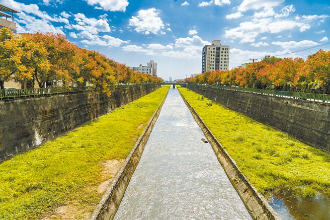 秋日的吉安溪，兩旁的臺灣欒樹染上黃褐與深紅，正是出遊的好時節。圖／《花蓮趣》