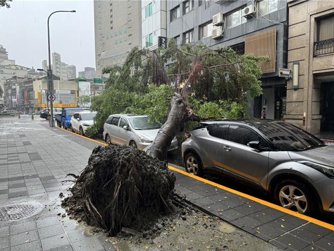 開封街路樹坍塌。（翻攝畫面）