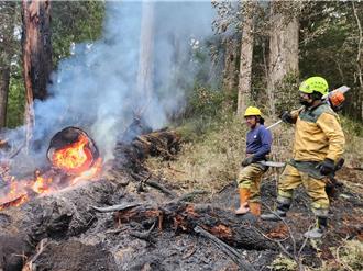 森林火災97％人為！ 927進行火災警訊測試 民眾別驚慌