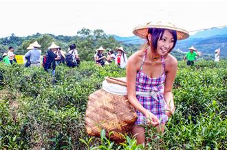 日本旅展 竹縣以茶鄉和半導體推「新竹走走」