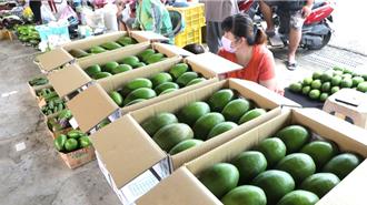 酪梨身價翻倍！大內產量居冠 價格直逼進口貨