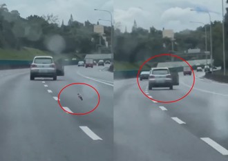 國道上突開車門女子欲跳車　鞋子飛出車外！驚險拉回