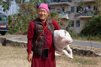 欽哲諾布新作《十字路口的豬》 發現比死亡更恐怖的事