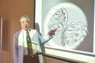 龍年也沒救 今年出生率恐新低