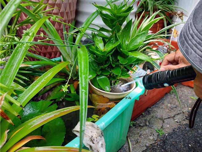 台南市出现第19例境外移入登革热病例，登防中心呼吁清除环境孳生源。（登防中心提供／洪荣志台南传真）