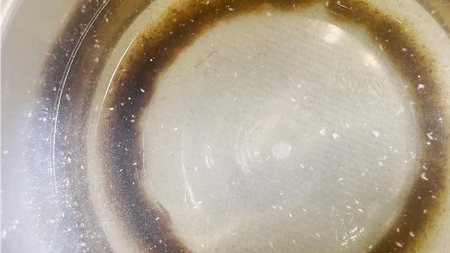 海洋浮游动物及其代谢的「粪粒」是有机碳。（中山大学提供／郭良杰高雄传真）。