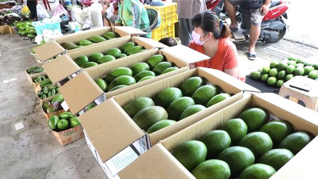 台南市大内区酪梨栽种面积广达大约270公顷，位居全台之冠。（台南市政府提供／张毓翎台南传真）