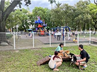 南投三和公園遊戲場啟用藏玄機 親子與毛小孩同樂