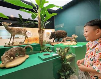 響應10／4世界動物日 十三行博物館聚焦保育推史前特展