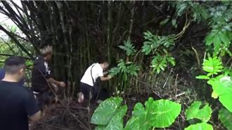 人间蒸发警查才知遭弃尸荒野　男童悲惨身世曝光「一家人都说谎」没人管他