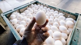 中間人搞一條龍服務 吳女角色關鍵