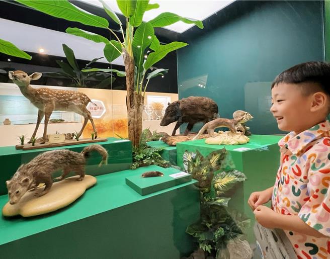 新北市立十三行博物館因應10月4日的「世界動物日」，推出「台灣史前動物特展」。（十三行博物館提供）