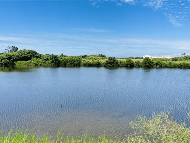 黄姓男子说，渔塭地主寧愿閒置渔塭多年，也不愿出租种电。（民眾提供／宝智华台南传真）