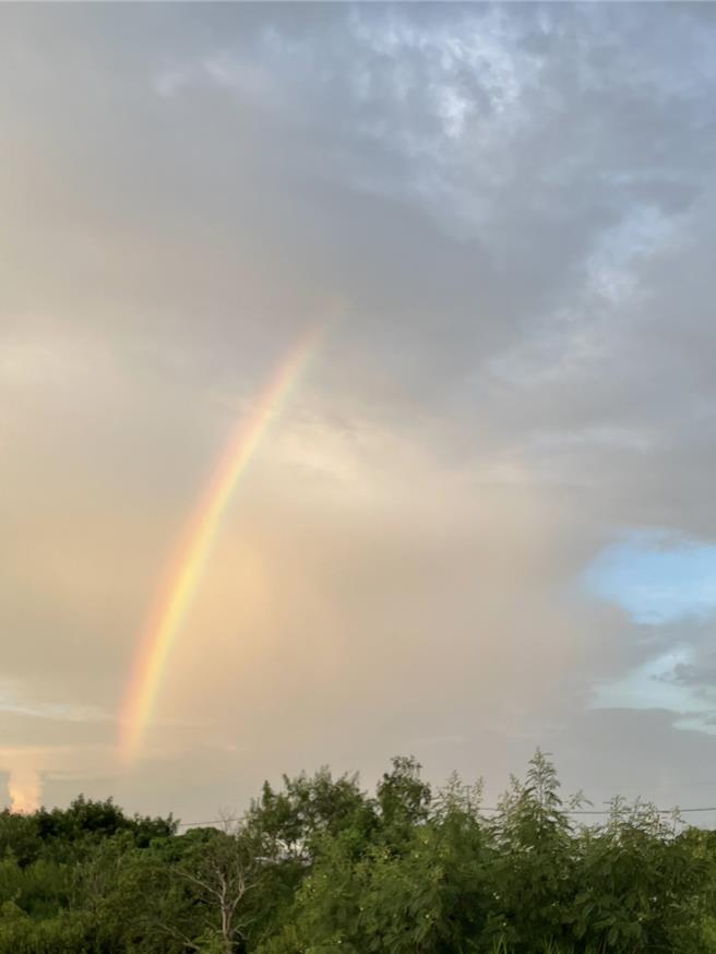 渔塭的黄昏景色多变，黄姓男子随手拍下彩虹。（民眾提供／宝智华台南传真）