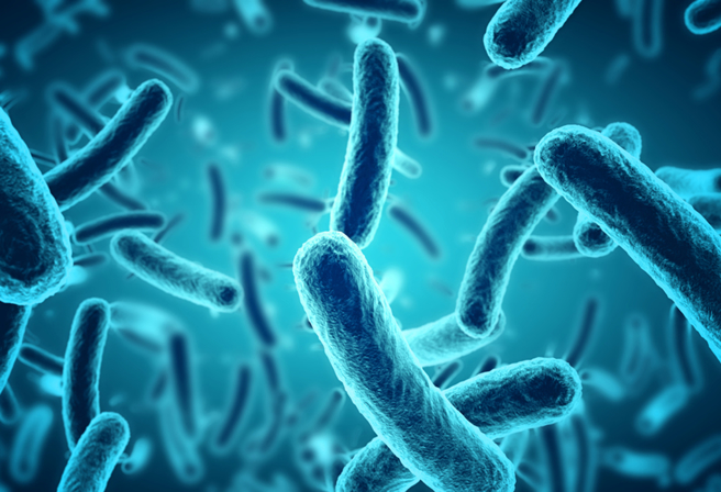 「超级细菌」让抗生素失效，行政院拍板，砸2亿拚「5年感染降1成」。（示意图：shutterstock／达志）